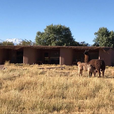 Eco-Lodge El Andinista سان بيدرو دي أتاكاما المظهر الخارجي الصورة