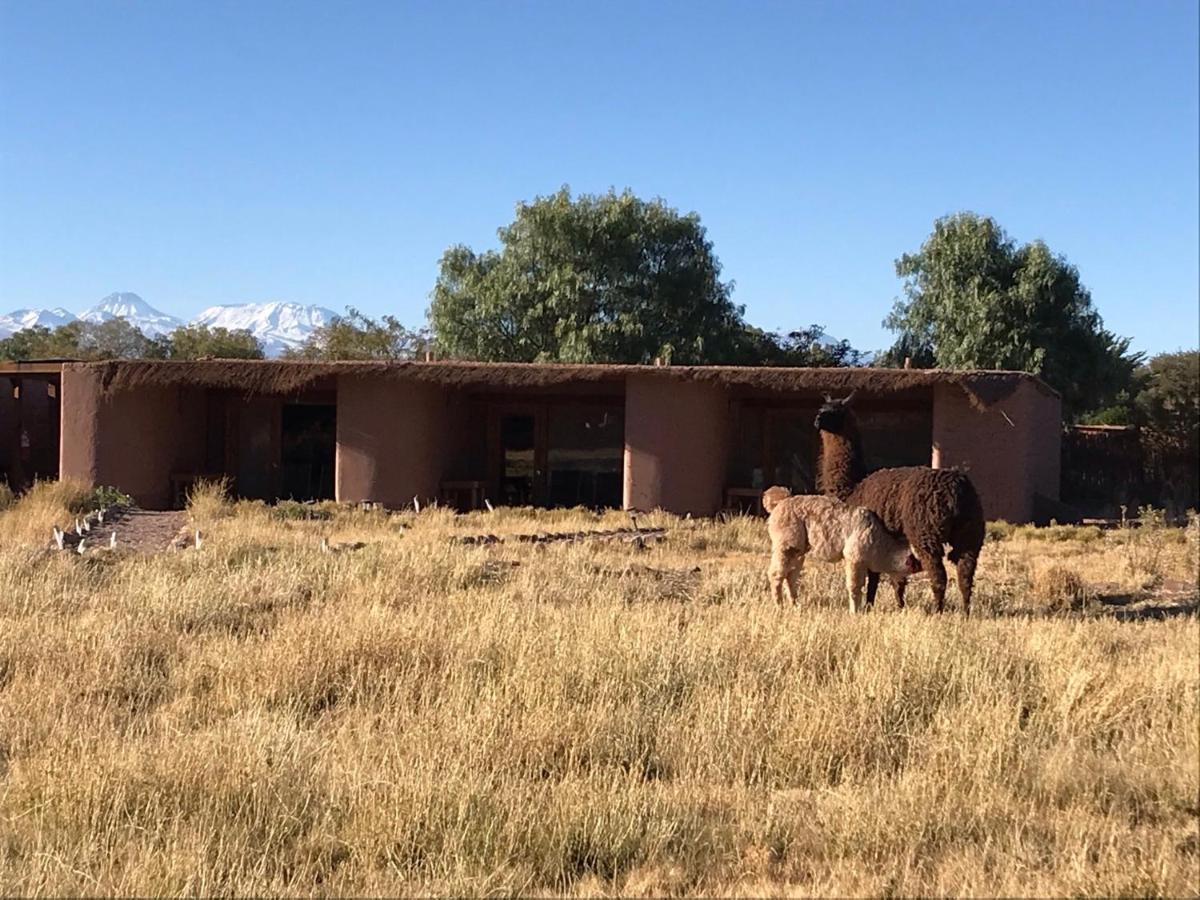 Eco-Lodge El Andinista سان بيدرو دي أتاكاما المظهر الخارجي الصورة