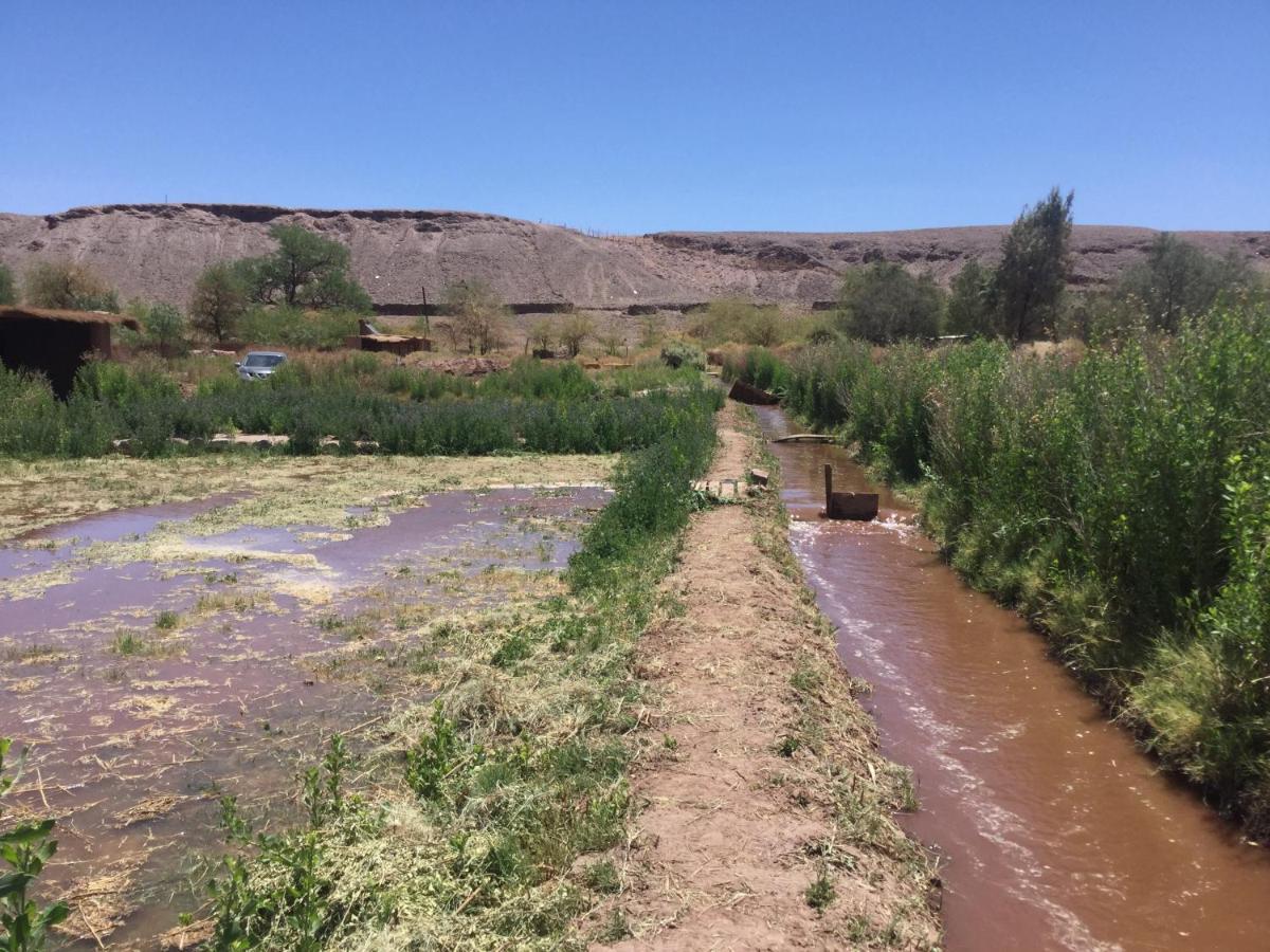 Eco-Lodge El Andinista سان بيدرو دي أتاكاما المظهر الخارجي الصورة