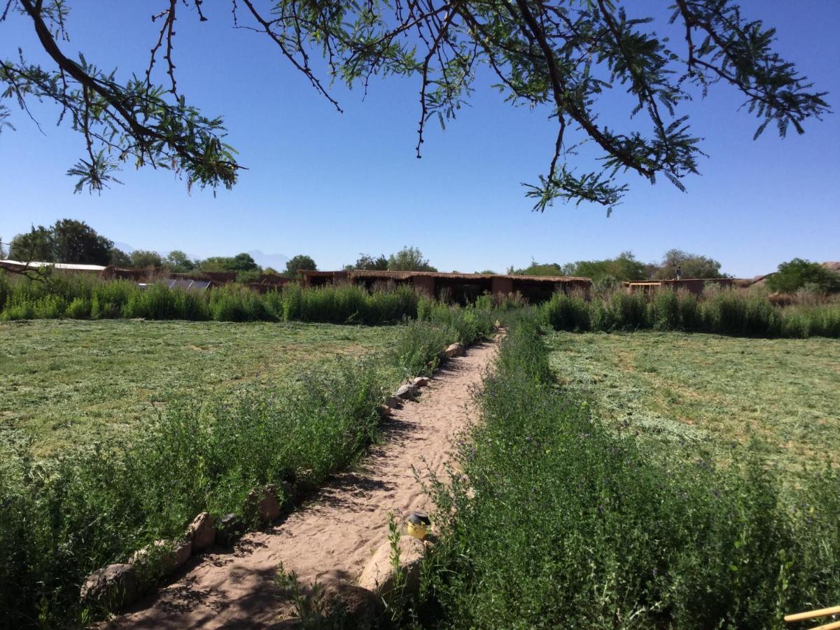 Eco-Lodge El Andinista سان بيدرو دي أتاكاما المظهر الخارجي الصورة