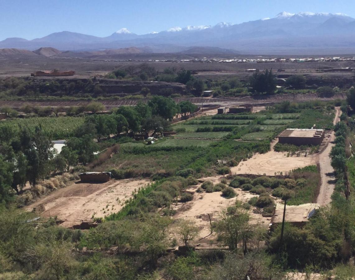 Eco-Lodge El Andinista سان بيدرو دي أتاكاما المظهر الخارجي الصورة