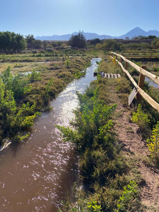 Eco-Lodge El Andinista سان بيدرو دي أتاكاما المظهر الخارجي الصورة