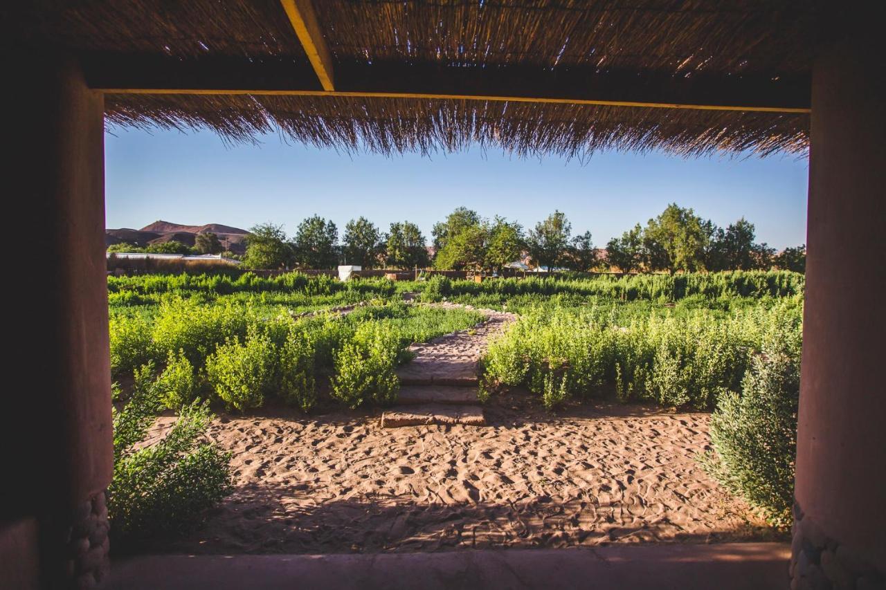 Eco-Lodge El Andinista سان بيدرو دي أتاكاما المظهر الخارجي الصورة