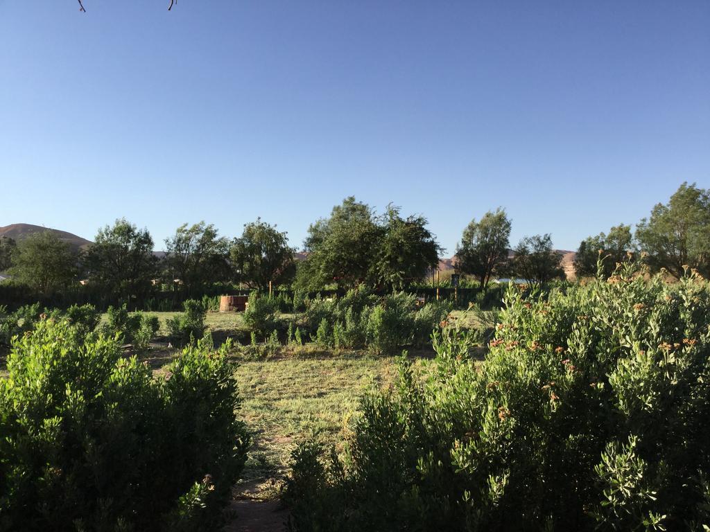Eco-Lodge El Andinista سان بيدرو دي أتاكاما المظهر الخارجي الصورة